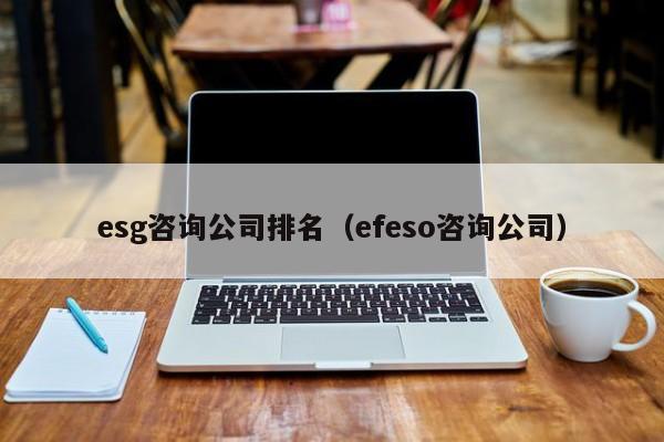 esg咨询公司排名（efeso咨询公司）-第1张图片-生活小常识科普知识 - 专业百科问答知识网站