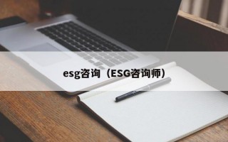 esg咨询（ESG咨询师）