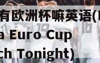今晚有欧洲杯嘛英语(Is There a Euro Cup Match Tonight)