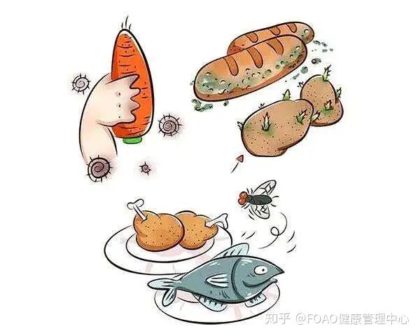 警惕 | 夏季食物中毒高发！预防要做好这10点...-第2张图片-生活小常识科普知识 - 专业百科问答知识网站