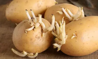 吃土豆中毒怎么办 土豆中毒症状和急救方法