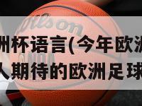 今年欧洲杯语言(今年欧洲杯：新赛季令人期待的欧洲足球盛宴)-第1张图片-生活小常识科普知识 - 专业百科问答知识网站